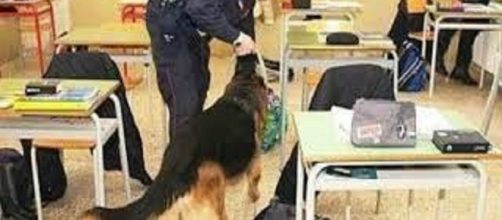 Cani antidroga all'opera tra i banchi di scuola.