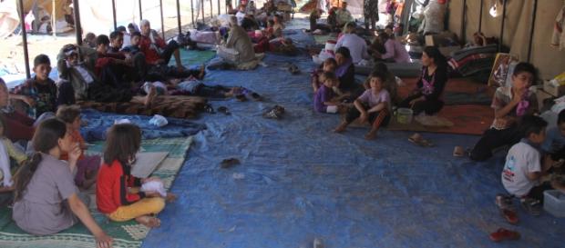 Refugiați yazidi cazați în corturi Refugiați yazidi cazați în corturi