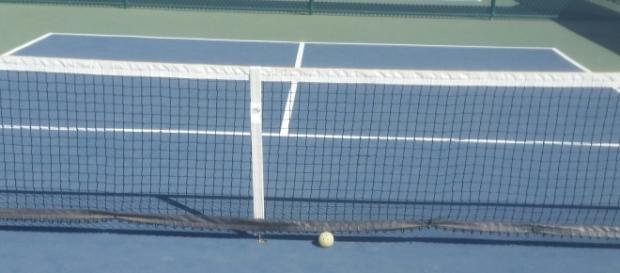 Smaller than tennis, larger than ping pong Smaller than tennis, larger than ping pong