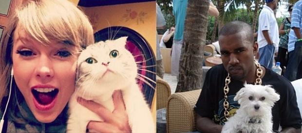 Taylor Swift - cat vs Kanye West - dog Taylor Swift - cat vs Kanye West - dog