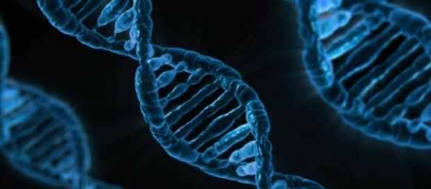 Conocer el riesgo genético no mejora la salud Conocer el riesgo genético no mejora la salud