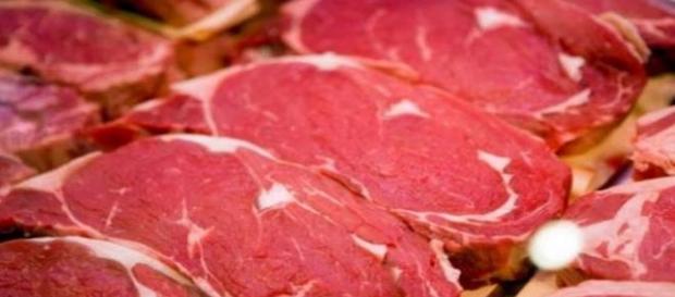 eating meat without animals found dead eating meat without animals found dead
