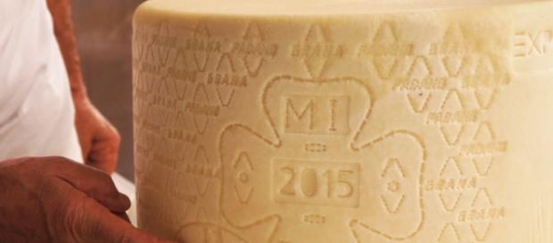 Maxi sequestro di Grana Padano Maxi sequestro di Grana Padano