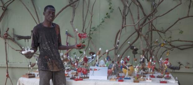 Malick Mané, son livre et ses oiseaux Malick Mané, son livre et ses oiseaux