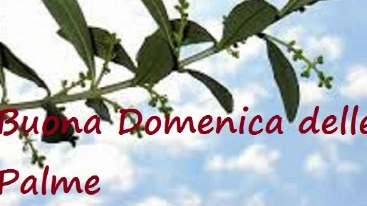 Buona Domenica Delle Palme Frasi Originali Per Amici E Parenti