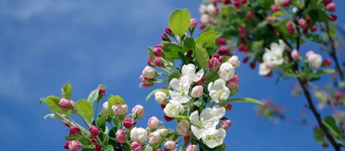 Previsioni del tempo per Pasqua e Pasquetta