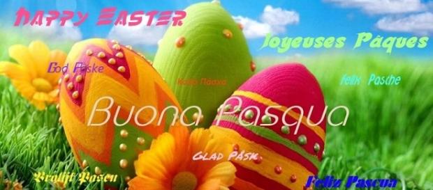 Buona pasqua a tutti gli amici vicini e lontani Buona pasqua a tutti gli amici vicini e lontani
