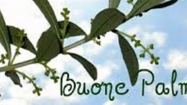 Video e frasi per la Domenica delle Palme