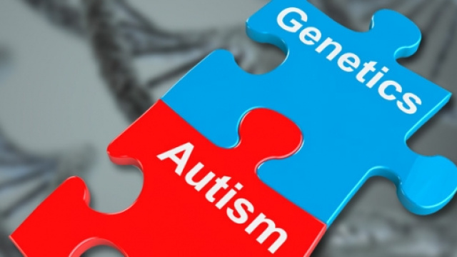 Qual &egrave; il legame tra genetica e autismo?