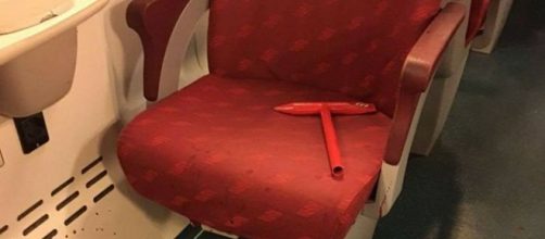 Rapina sul treno diretto a Milano: ragazza presa a martellate da romeno pregiudicato