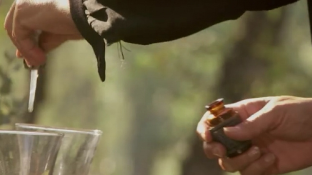 Il Segreto, trama puntate 24 marzo 2016