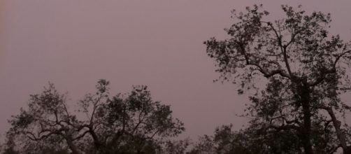 Atmosfera desertica sul Salento.