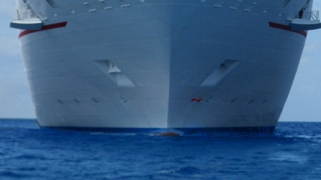 Crociere regine delle offerte: perché fare una crociera?