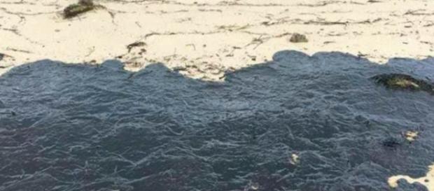 La marea nera al largo delle coste tunisine potrebbe raggiungere Lampedusa La marea nera al largo delle coste tunisine potrebbe raggiungere Lampedusa