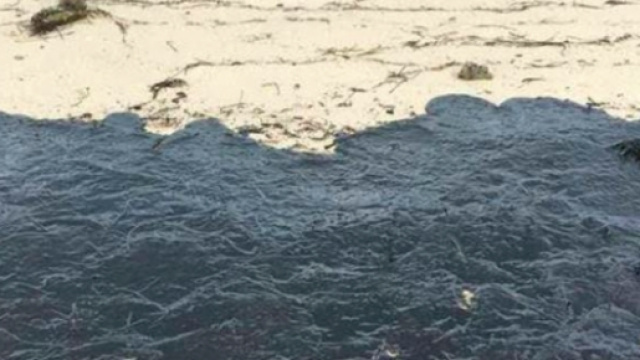 La marea nera al largo delle coste tunisine potrebbe raggiungere Lampedusa