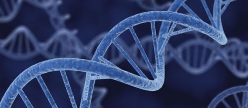 La Banca Dati del DNA contro terrorismo e criminalità