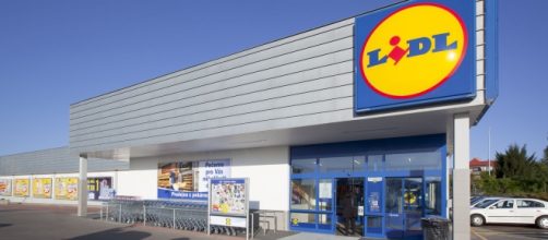 LIDL: figure ricercate e come candidarsi