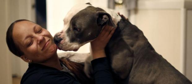 Ayana Kelly y su perro Gucci, un pit bull terrier americano de 5 años, se han reunido el pasado jueves tras 3 años separados. Foto: Virginian-Pilot Ayana Kelly y su perro Gucci, un pit bull terrier americano de 5 años, se han reunido el pasado jueves tras 3 años separados. Foto: Virginian-Pilot