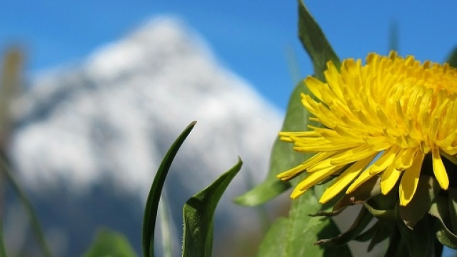 Pasquetta 2016, ecco che tempo far&agrave;