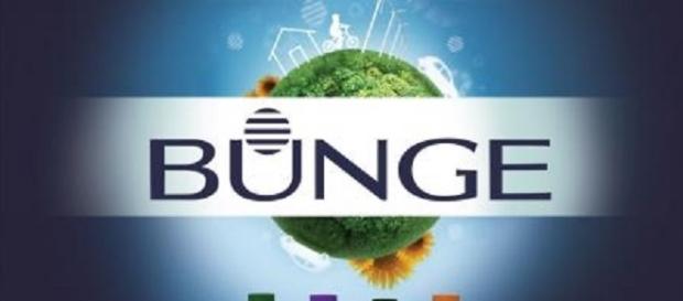 Confira quais são os profissionais que a Bunge está contratando! Confira quais são os profissionais que a Bunge está contratando!