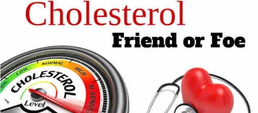 Ricerche sul colesterolo HDL e LDL