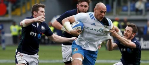 Sergio Parisse in azione contro la Scozia.