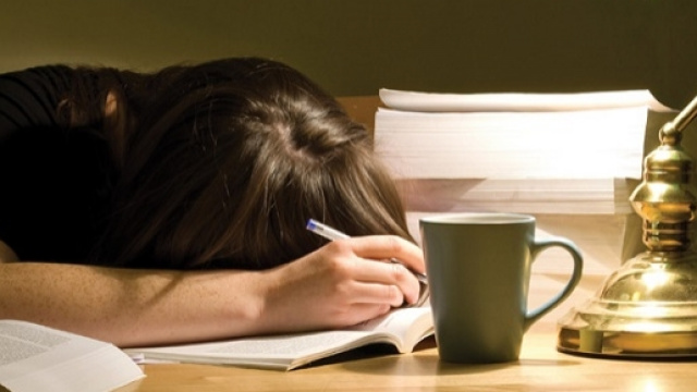 Concorso scuola 2016: cosa studiare?