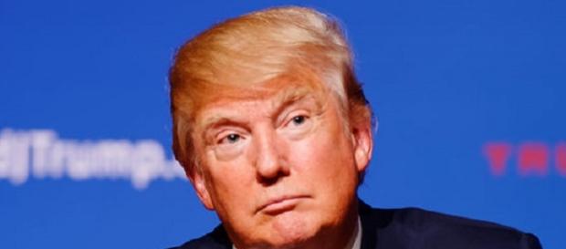Donald Trump (Credit Micahel Vadon Wikimedia) Donald Trump (Credit Micahel Vadon Wikimedia)