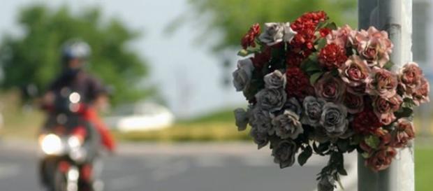 Fotografia di un mazzo di fiori su di un palo Fotografia di un mazzo di fiori su di un palo