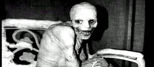 Resultado del experimento del sueño Resultado del experimento del sueño