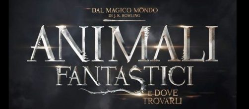 Animali Fantastici e dove trovarli