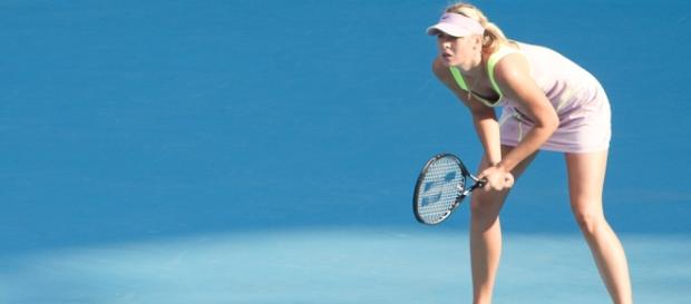 Sharapova aguarda investigações para se redimir Sharapova aguarda investigações para se redimir