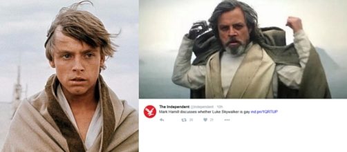 Mark Hamill Says Luke Skywalker May Be Gay