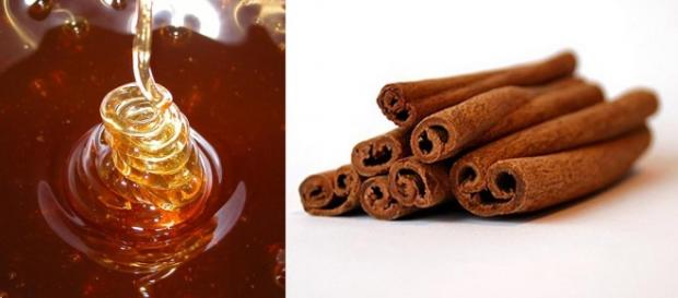 O mel e a canela produtos benéficos para a saúde O mel e a canela produtos benéficos para a saúde