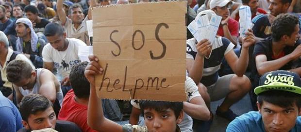Refugiados chegaram a Portugal Refugiados chegaram a Portugal