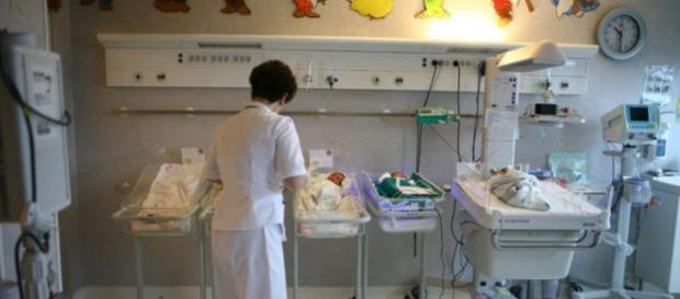 E.coli care a ucis bebelușii nu e din brânză E.coli care a ucis bebelușii nu e din brânză