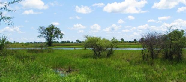 Kwando river, Bwabwata/Photo:J Flowers Kwando river, Bwabwata/Photo:J Flowers