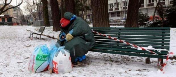 O româncă fără adăpost are nevoie de semeni O româncă fără adăpost are nevoie de semeni