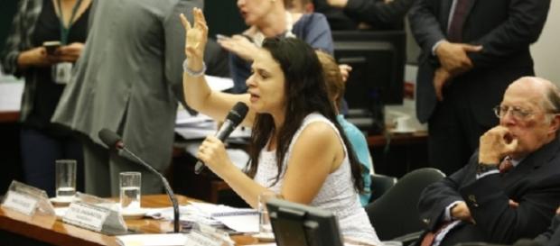 Argumentos a favor e contra pelos deputados da comissão. Argumentos a favor e contra pelos deputados da comissão.