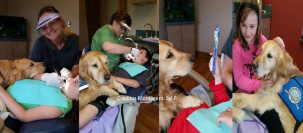 Jojo ajuda a tranquilizar as crianças e ainda recebe carinho Jojo ajuda a tranquilizar as crianças e ainda recebe carinho