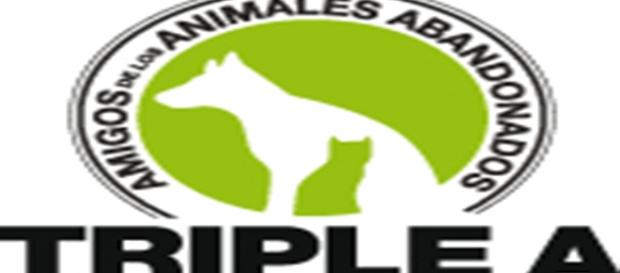 Logotipo de la Protectora de Animales de Marbella Logotipo de la Protectora de Animales de Marbella