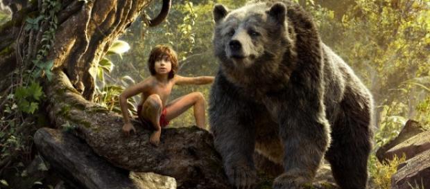 La interacción del niño humano con los animales es bien lograda La interacción del niño humano con los animales es bien lograda