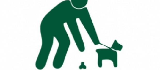 No recoger la heces de la mascota es una infracción grave No recoger la heces de la mascota es una infracción grave