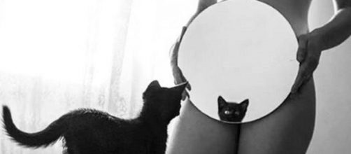 'Specchio specchio delle mie brame' per il gattino di Naike