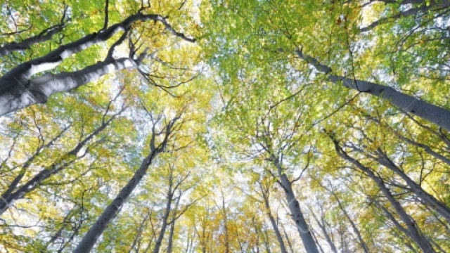 Si vive più a lungo a contatto con la natura