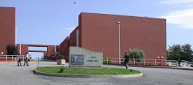 Elezioni Unical: si candida Giulio Curcio Terremoto Elezioni Unical: si candida Giulio Curcio Terremoto