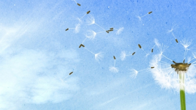 La nostalgia ha un sapore agrodolce