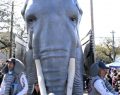 The Great Tuskers of AWE host New Orleans EarthFest