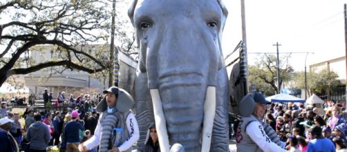 The Great Tuskers of AWE inspired Mardi Gras crowds in New Orleans.
