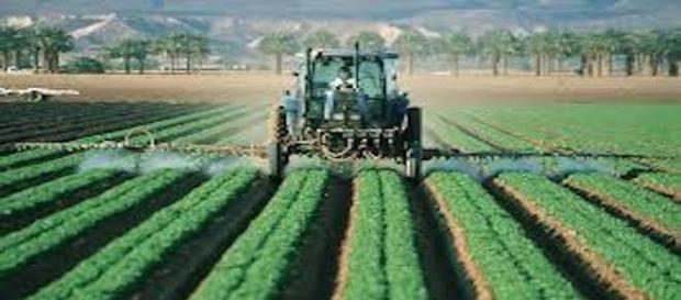 Prohibición de pesticidas en UE para agricultura extensiva por demostrarse que causan cáncer Prohibición de pesticidas en UE para agricultura extensiva por demostrarse que causan cáncer